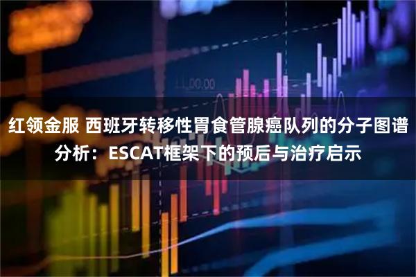 红领金服 西班牙转移性胃食管腺癌队列的分子图谱分析：ESCAT框架下的预后与治疗启示