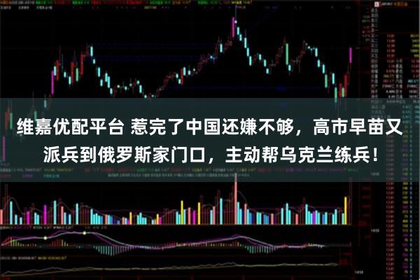 维嘉优配平台 惹完了中国还嫌不够，高市早苗又派兵到俄罗斯家门口，主动帮乌克兰练兵！