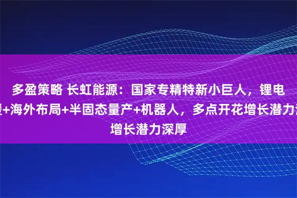 多盈策略 长虹能源：国家专精特新小巨人，锂电回暖+海外布局+半固态量产+机器人，多点开花增长潜力深厚