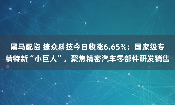 黑马配资 捷众科技今日收涨6.65%：国家级专精特新“小巨人”，聚焦精密汽车零部件研发销售
